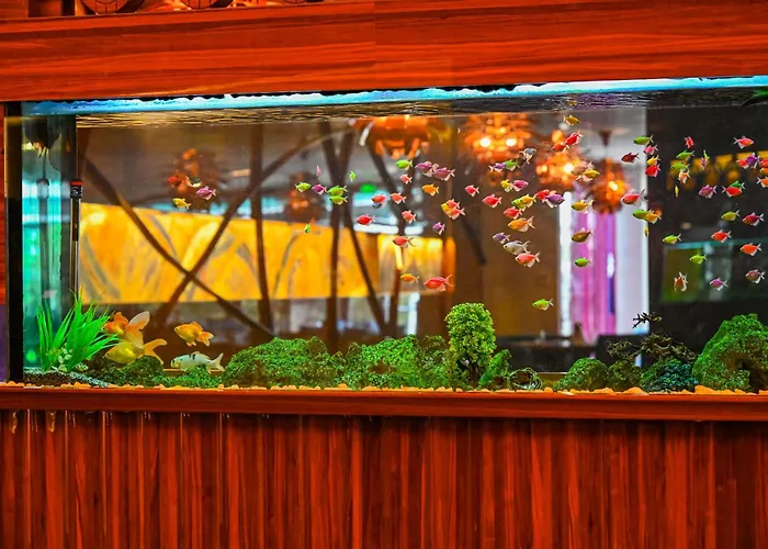 Gold Majesty Ξενοδοχείο 5*